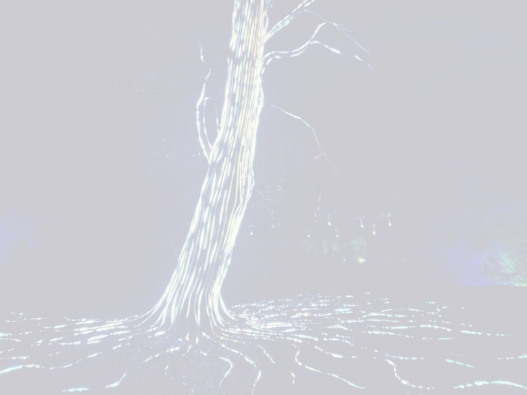 Cover image for Ali Knight's free resource '5 Ways to Connect Within' A softly overexposed, ethereal image of a tree with visible roots, rendered in pale grey and white tones with a subtle iridescent quality, giving a dreamlike, otherworldly feel