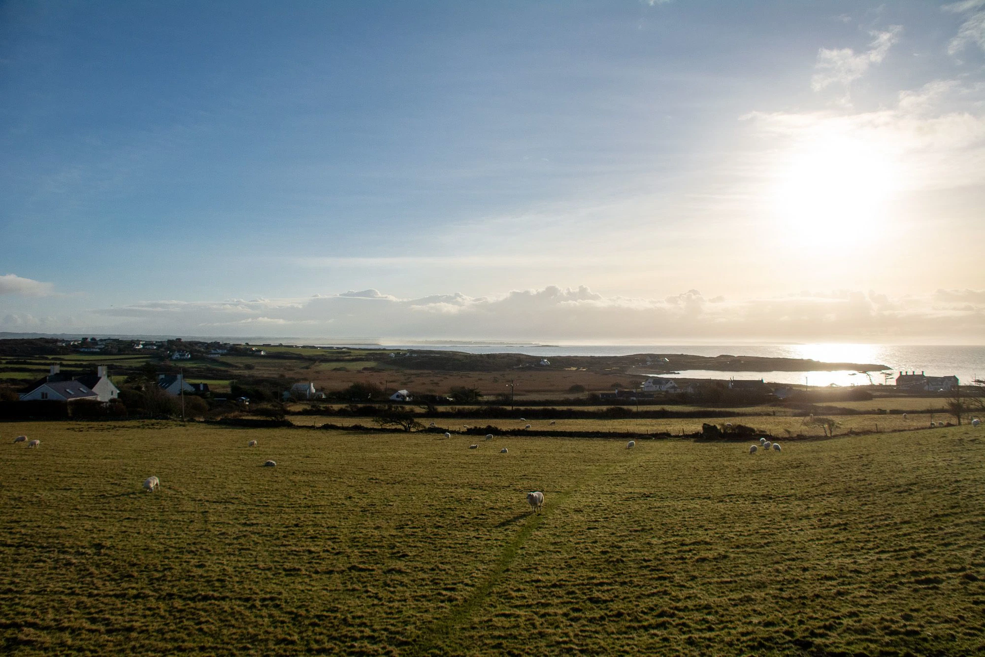 A sweeping view from Plas Rhoscolyn across sheep-grazed fields towards the coastline, with the sea glittering in bright winter sunlight, scattered farmhouses and hedgerows in the middle distance and a wide open sky above