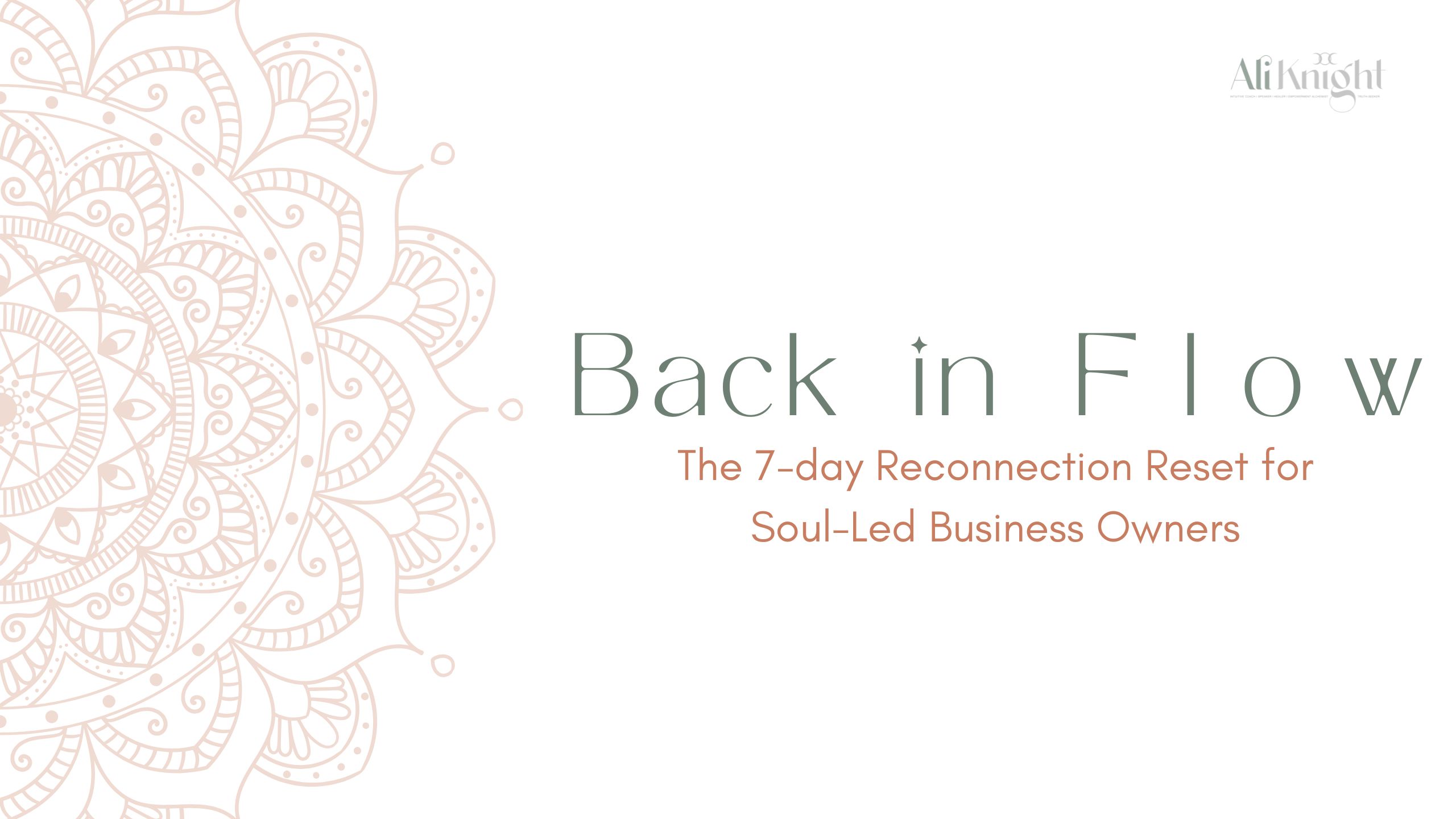 back in flow logo